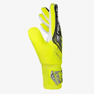 Reusch Attrakt Starter Solid Junior 