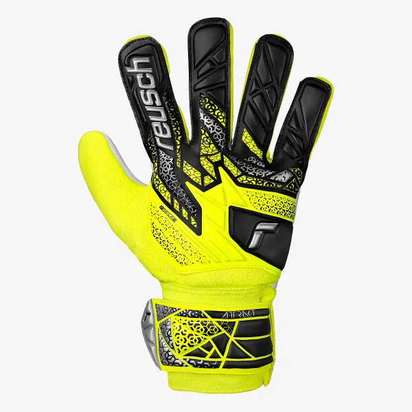 Reusch Attrakt Starter Solid Junior 