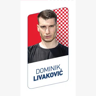 Reusch Attrakt Solid Junior Livakovic 