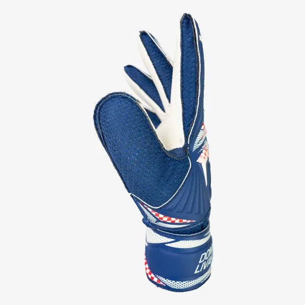 Reusch Attrakt Solid Junior Livakovic 