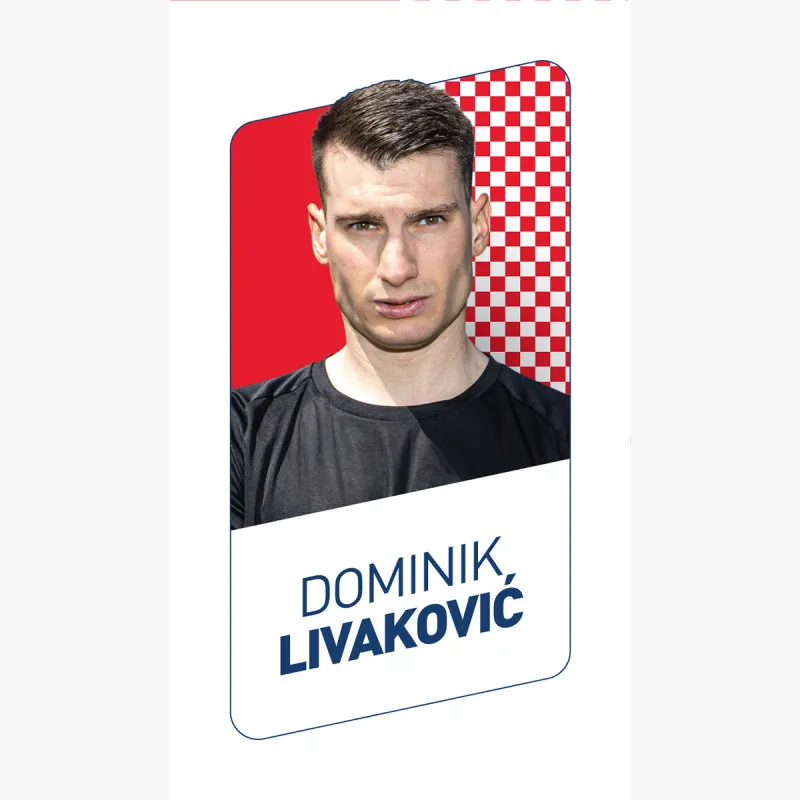 Reusch Attrakt Solid Junior Livakovic 