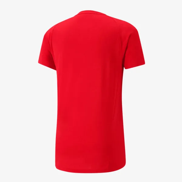 Puma T-shirt EVOSTRIPE 