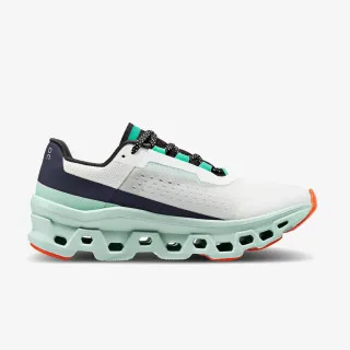 On Cloudmonster 