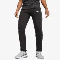 Puma Evostripe 