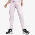 Puma Evostripe 