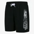 Speedo GRAPHIC LEIS 15