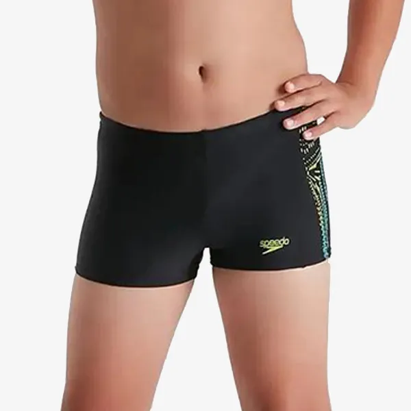 Speedo Kupaći SPORTS PL/AV/LOG PN ASHT V3 JM 