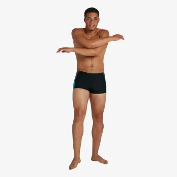 Speedo Kupaće gaće DIVE ASHT AM BLACK/GREY 