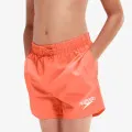 Speedo Essentials 