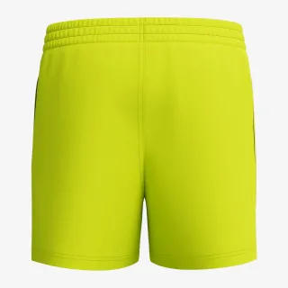 Speedo Essentials 