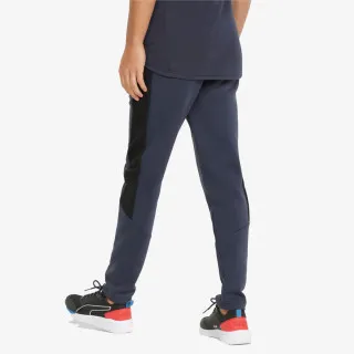 Puma Evostripe Pants 