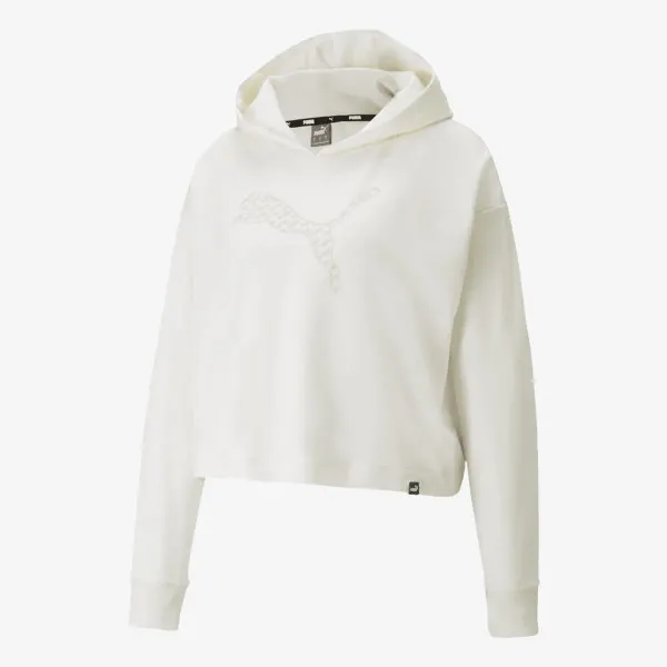 Puma PUMA POWER SUMMER GRAPHIC HOODIE TR 