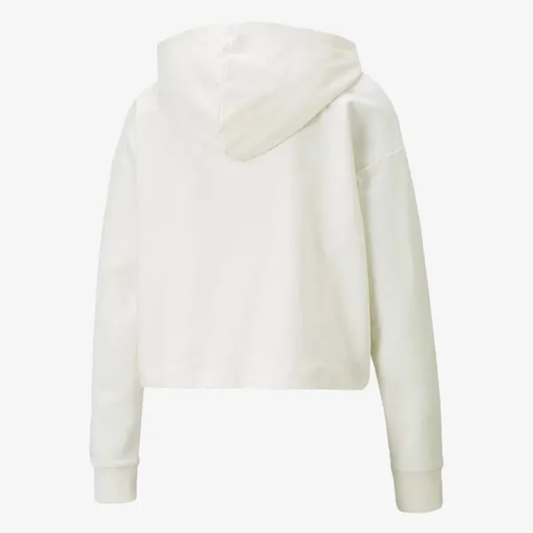 Puma PUMA POWER SUMMER GRAPHIC HOODIE TR 