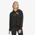 Puma ESS+ RAINBOW CROPPED HOODIE TR 