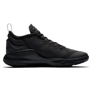 Nike LEBRON WITNESS II 
