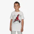 JORDAN Flight Heritage 