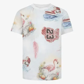 JORDAN Flamingo 