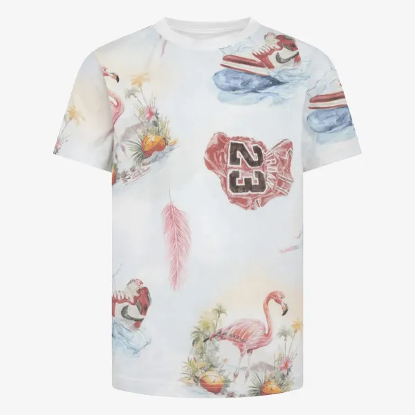 JORDAN Flamingo 