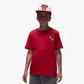 JORDAN JDB AIR JORDAN HAS LANDED SS T 