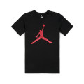 Nike T-shirt M JSW TEE ICONIC JUMPMAN 