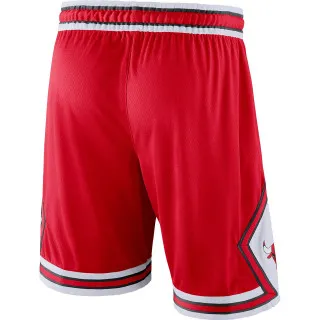 Nike Chicago Bulls Icon Edition 