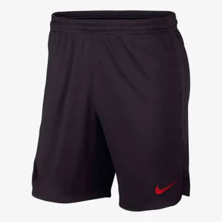 Nike PSG M NK DRY STRK SHORT KZ 