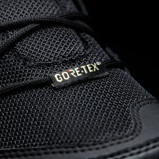adidas TERREX AX2R GTX W 