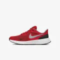 Nike Revolution 5 