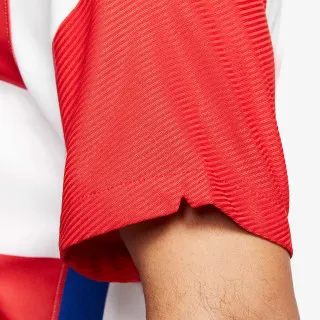 Nike CRO M NK BRT STAD JSY SS HM 