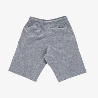 Champion BASIC 