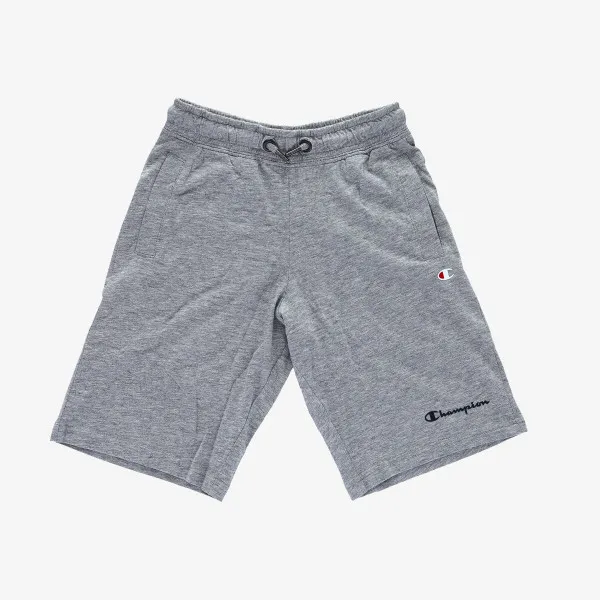 Champion BASIC 