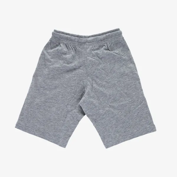Champion BASIC 