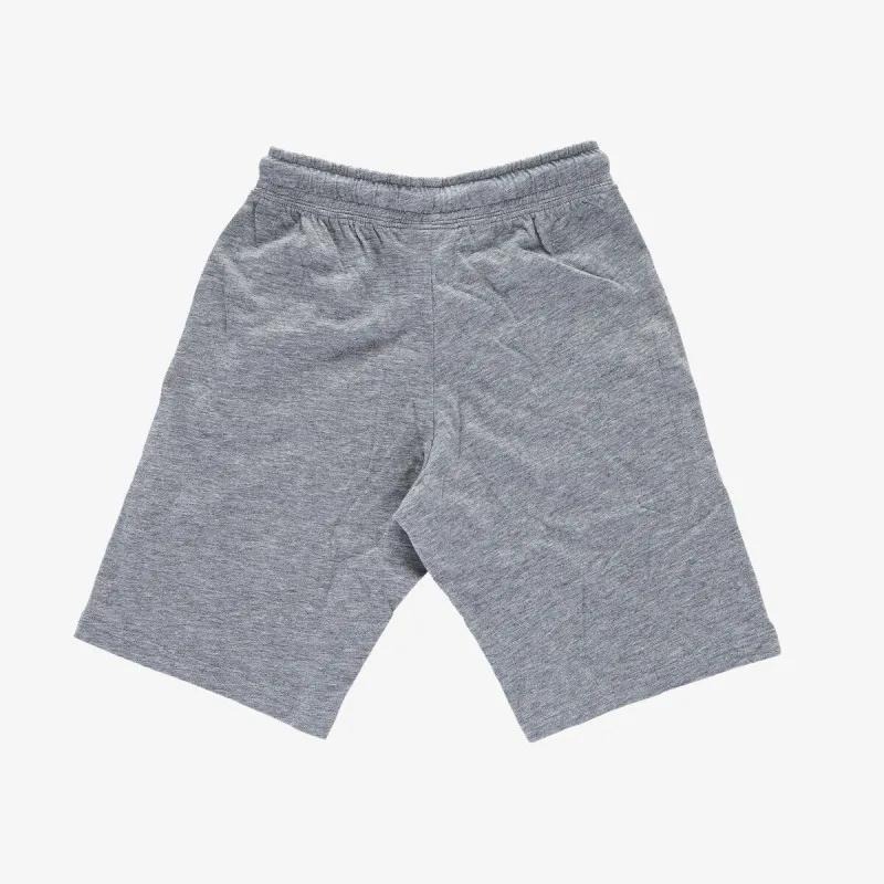 Champion BASIC 