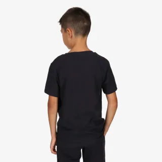 Champion ROCH INSPIRED 