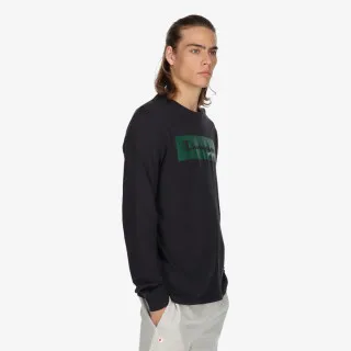 Champion BIG LOGO 