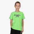 Champion DINO 