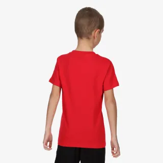 Champion 19 