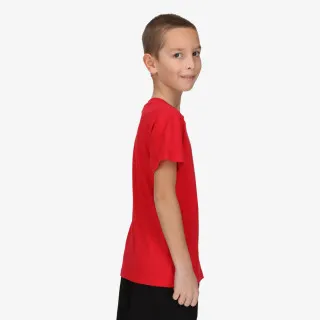 Champion 19 