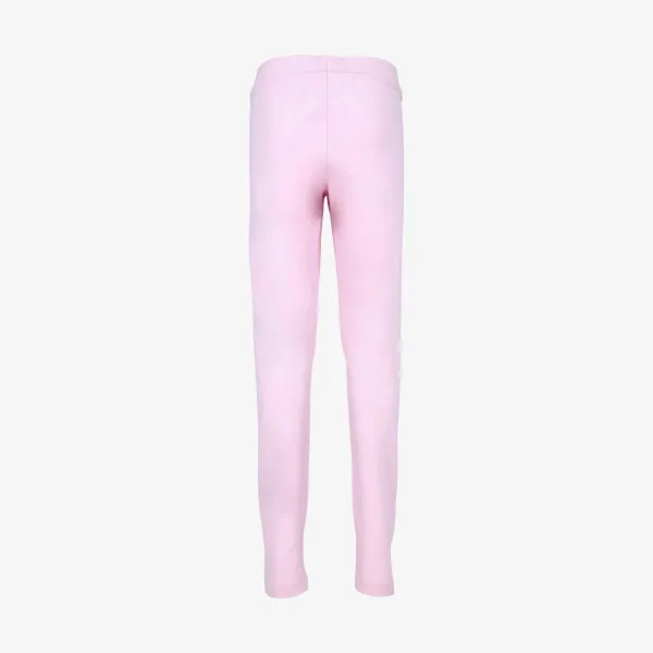 Champion BASIC 