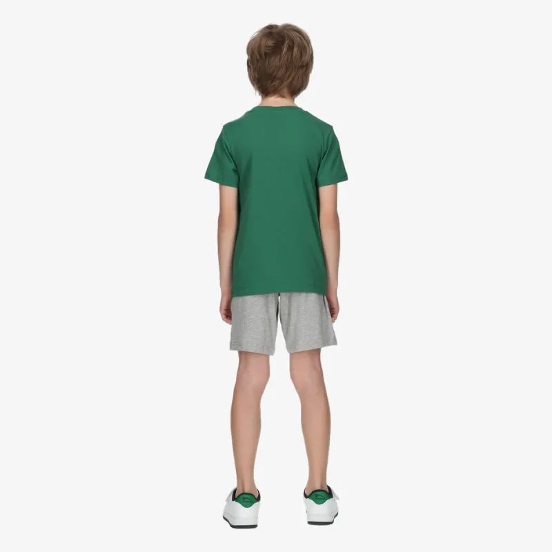 Champion Authentic 