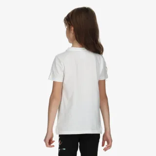 Champion Hologram 