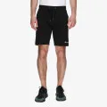 Champion Basic 