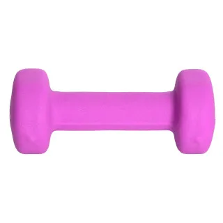 Champion CHAMPION HAND WEIGHT 1KG PURPLE 