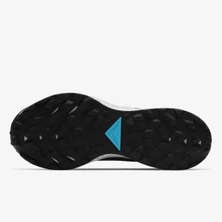 Nike PEGASUS TRAIL 2 