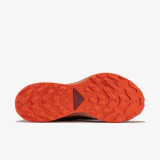 Nike W PEGASUS TRAIL 2 