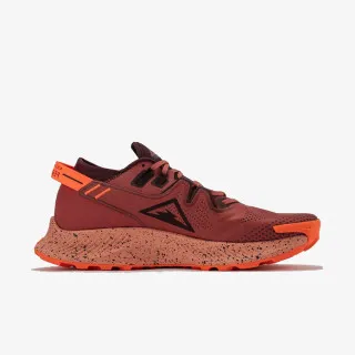 Nike W PEGASUS TRAIL 2 