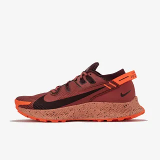 Nike W PEGASUS TRAIL 2 