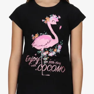 Cocomo INGA 