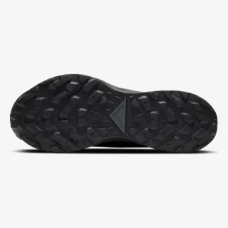 Nike PEGASUS TRAIL 2 GTX 