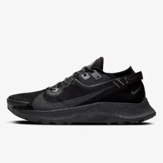 Nike PEGASUS TRAIL 2 GTX 